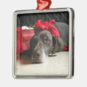 Ornement Carré Argenté Christmas german shorthred pointer