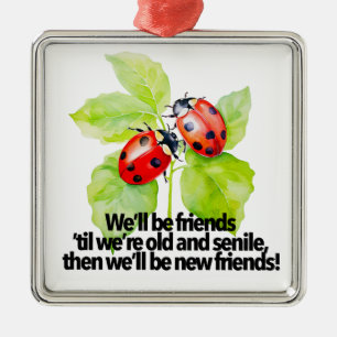 Ornement Carré Argenté Citation d'amitié des coccinelles drôle BFF vieill
