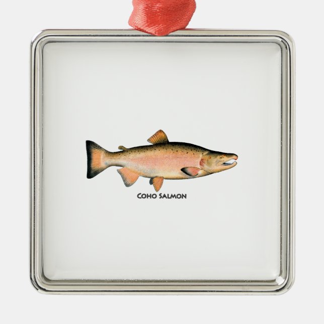 Ornement Carré Argenté Coho - saumon argenté (engendrant la phase) (Devant)