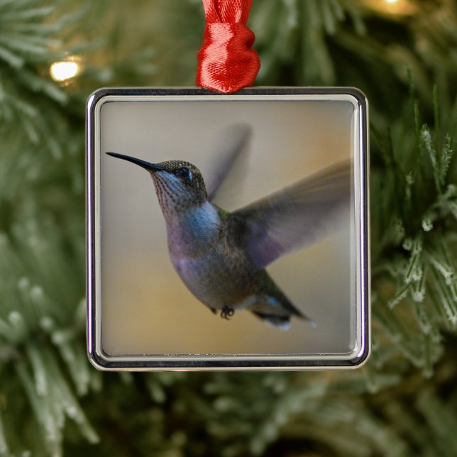 Ornement Carré Argenté Colibri dans l'battement (Arbre)