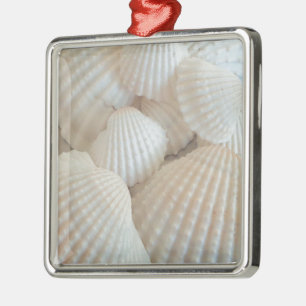 Ornement Carré Argenté Coquillages blancs ensoleillés, Plage d'été Exotiq