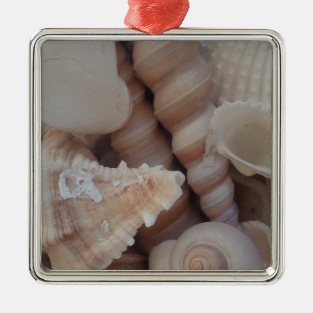 Ornement Carré Argenté Coquillages d'été ensoleillés, Sea Shell Beach Lov (Devant)