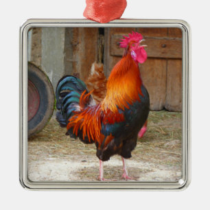 Ornement Carré Argenté Crowing Red Rooster de Rhode Island