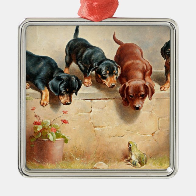 Ornement Carré Argenté Curieux Chiots Dachshund et une grenouille (Devant)