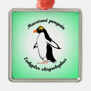 Ornement Carré Argenté Cute Macaroni Penguin