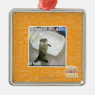 Ornement Carré Argenté Dans là ? Est Kold !