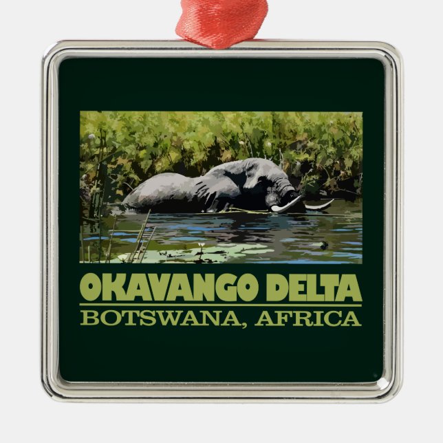 Ornement Carré Argenté Delta d'Okavango (Devant)