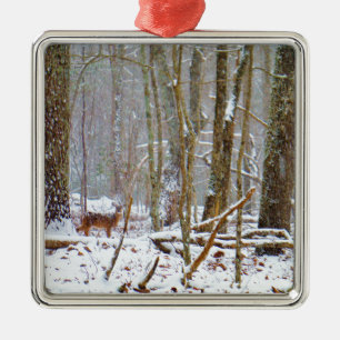 Ornement Carré Argenté Doe dans la neige, Deer dans le lac Arrowhead
