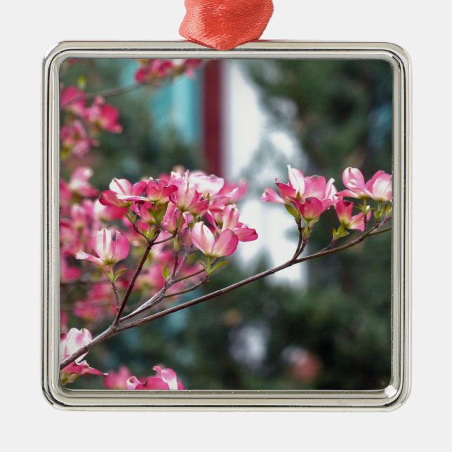 Ornement Carré Argenté Dogwood rose (Devant)