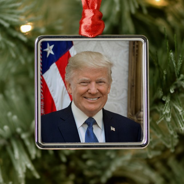 Ornement Carré Argenté Donald Trump Président des États-Unis Maison Blanc (Arbre)
