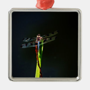 Ornement Carré Argenté Dragonfly bleu et noir sur gazon vert et rouge