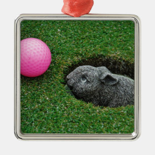 ORNEMENT CARRÉ ARGENTÉ DSCF0652.JPG