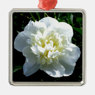 Ornement Carré Argenté Elégant blanc peony floral blanc photo