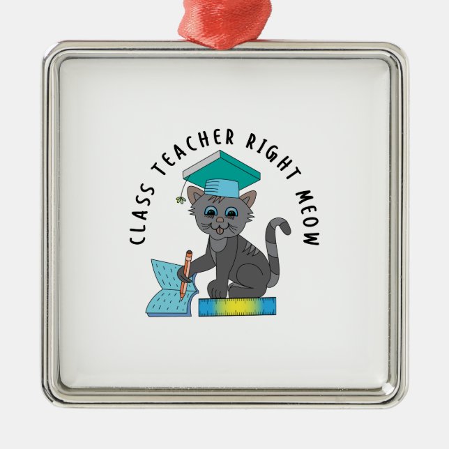 Ornement Carré Argenté Enseignant de classe Droite Meow (Devant)