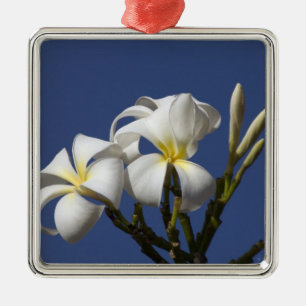 Ornement Carré Argenté États-Unis, Hawaï, Kauai, plumeria blanc.