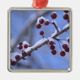 Ornement Carré Argenté États-Unis, Nouvelle-Angleterre, Massachusetts, L