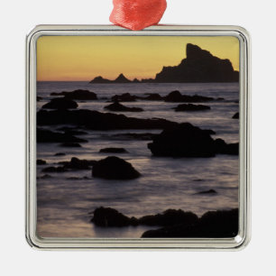 Ornement Carré Argenté États-Unis, Washington, Olympic Nat'l Park, Seaso