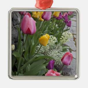 Ornement Carré Argenté États-Unis, Washington, Seabeck. Des tulipes borde
