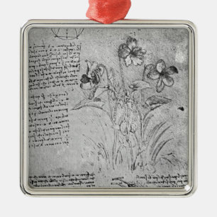 Ornement Carré Argenté Études des altos