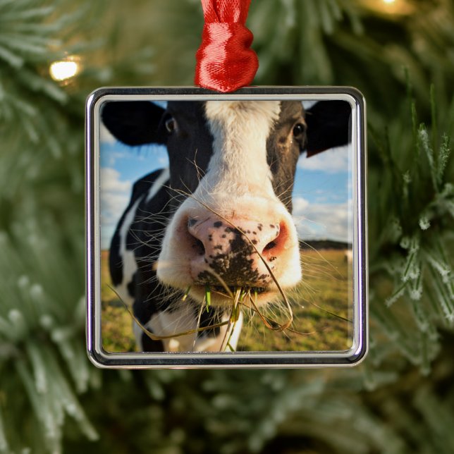 Ornement Carré Argenté Fermes | Vache Holstein Chewing (Arbre)