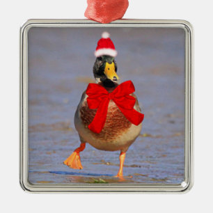 Ornement Carré Argenté Festif Fun Mallard Duck Noël