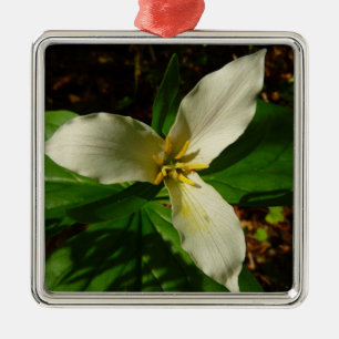 Ornement Carré Argenté Fleur sauvage de printemps blanc Trillium Flower