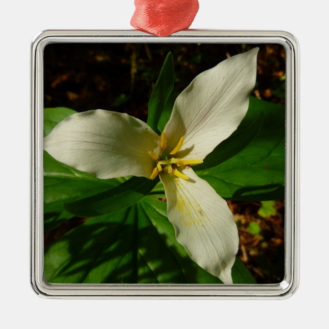 Ornement Carré Argenté Fleur sauvage de printemps blanc Trillium Flower (Devant)