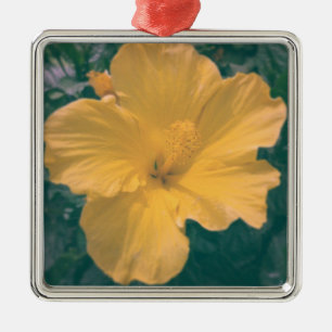 Ornement Carré Argenté Fleur tropicale