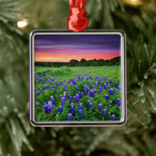 Ornement Carré Argenté Fleurs   Bluebonnets à Sunset Texas