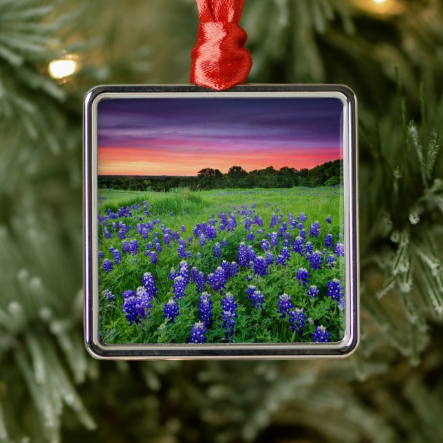 Ornement Carré Argenté Fleurs | Bluebonnets à Sunset Texas (Arbre)