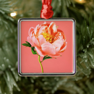 Ornement Carré Argenté Fleurs   Coral Peony Blossom