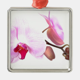 Ornement Carré Argenté Fleurs d'orchidées aziza