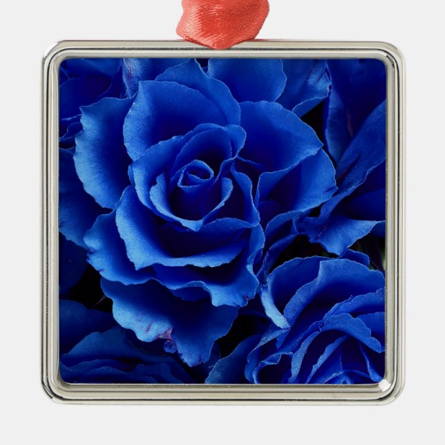 Ornement Carré Argenté Fleurs roses bleues romance plante (Devant)