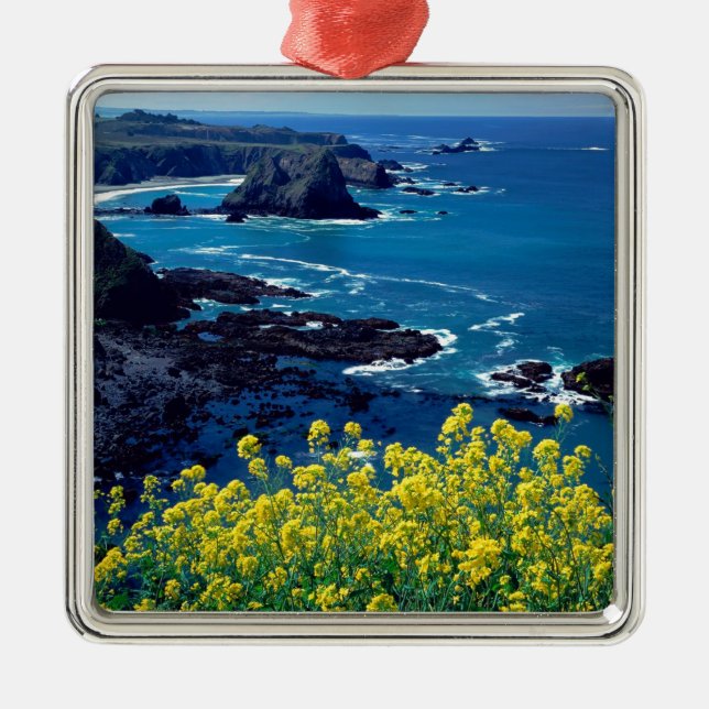 Ornement Carré Argenté Fleurs sauvages Pacifiques Mendocino de littoral (Devant)