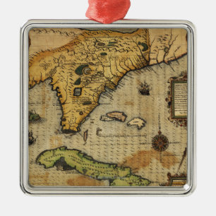 Ornement Carré Argenté FloridaPanoramic MapFlorida