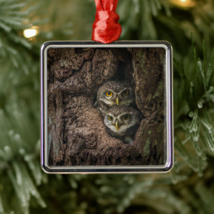 Ornement Carré Argenté Forest   Deux Owls Looking