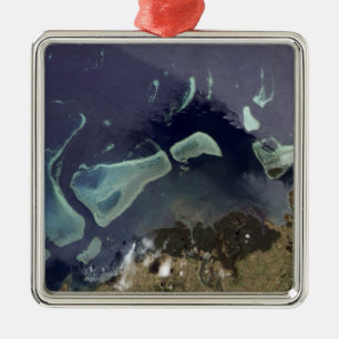 Ornement Carré Argenté Forêt vert-foncé sur la terre