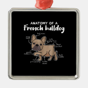 Ornement Carré Argenté Frenchie Gift  Anatomie D'Un Cadeau De Chien À Bal