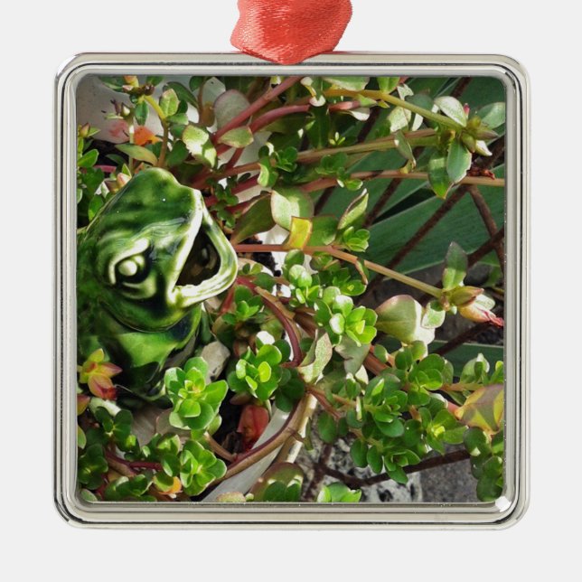 Ornement Carré Argenté Froggy (Devant)