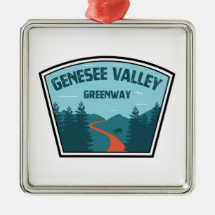 Ornement Carré Argenté Genesee Valley Greenway New York
