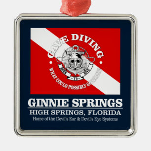 Ornement Carré Argenté Ginnie Springs (les meilleures grottes)