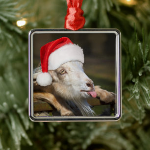 Ornement Carré Argenté Goat