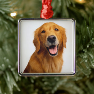 Ornement Carré Argenté Golden Retriever Smile