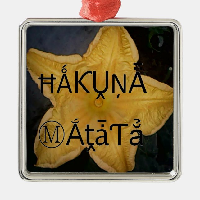 Ornement Carré Argenté Golden Star Hakuna Matata (Devant)