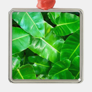 Ornement Carré Argenté Green feuille Palm Leaf feuillage tropical jungle