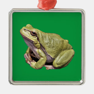 Ornement Carré Argenté Grenouille