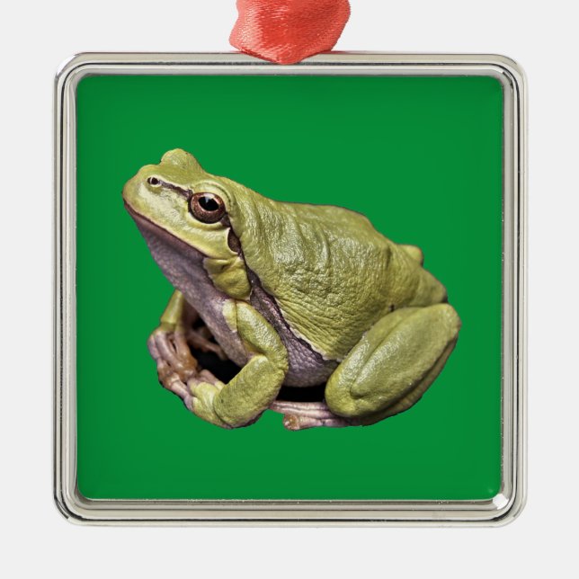 Ornement Carré Argenté Grenouille (Devant)