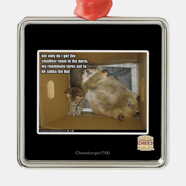 Ornement Carré Argenté Gros compagnon de chambre (Devant)