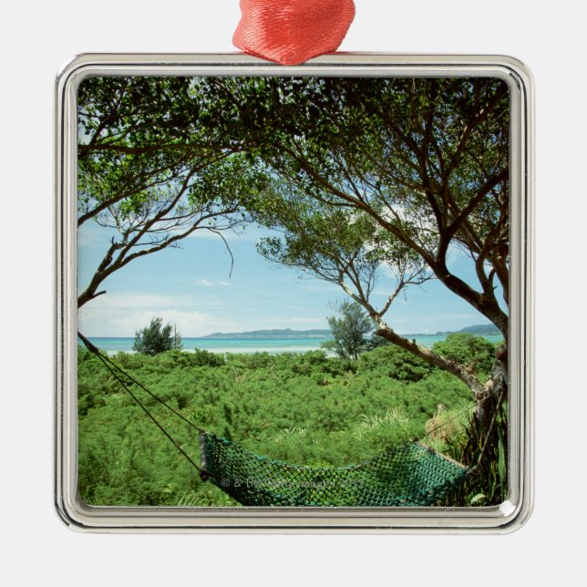 Ornement Carré Argenté Hamac (Devant)