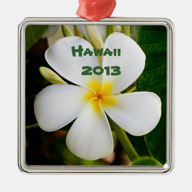 Ornement Carré Argenté Hawaii Plumeria - Gardien des fleurs (Devant)